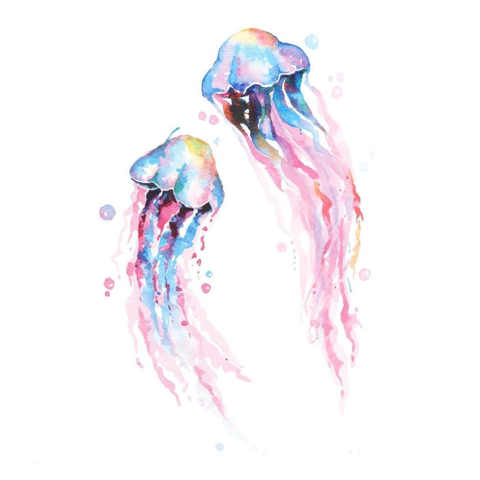 Hand drawn jellyfish watercolor vector