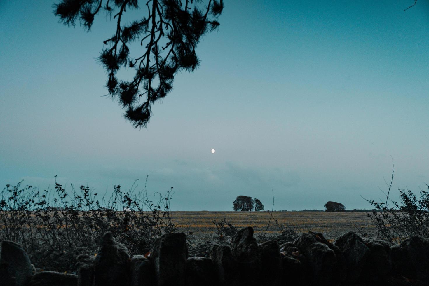 Dark October night photo