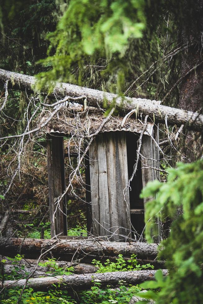 estructura de madera marrón en el bosque foto