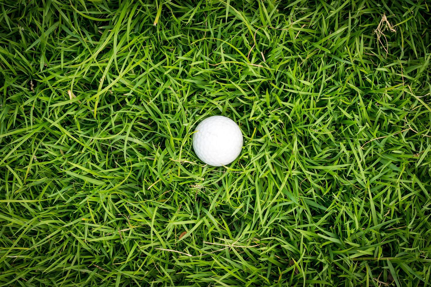 Golf ball on green grass photo