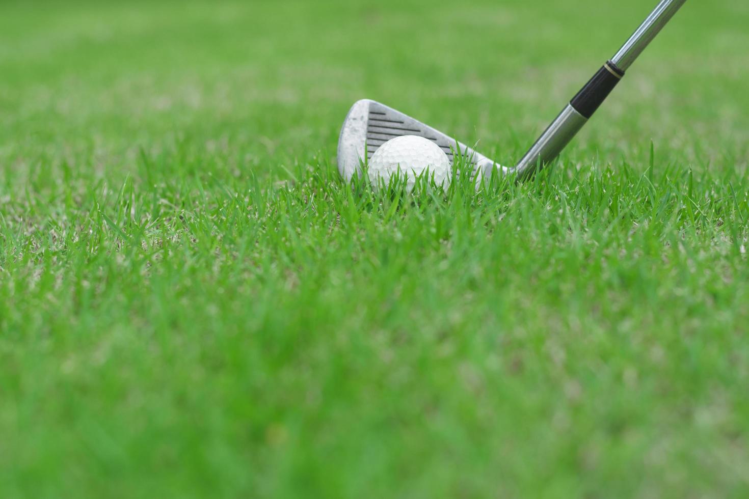 Close-up of a golf ball on green grass in golf course photo