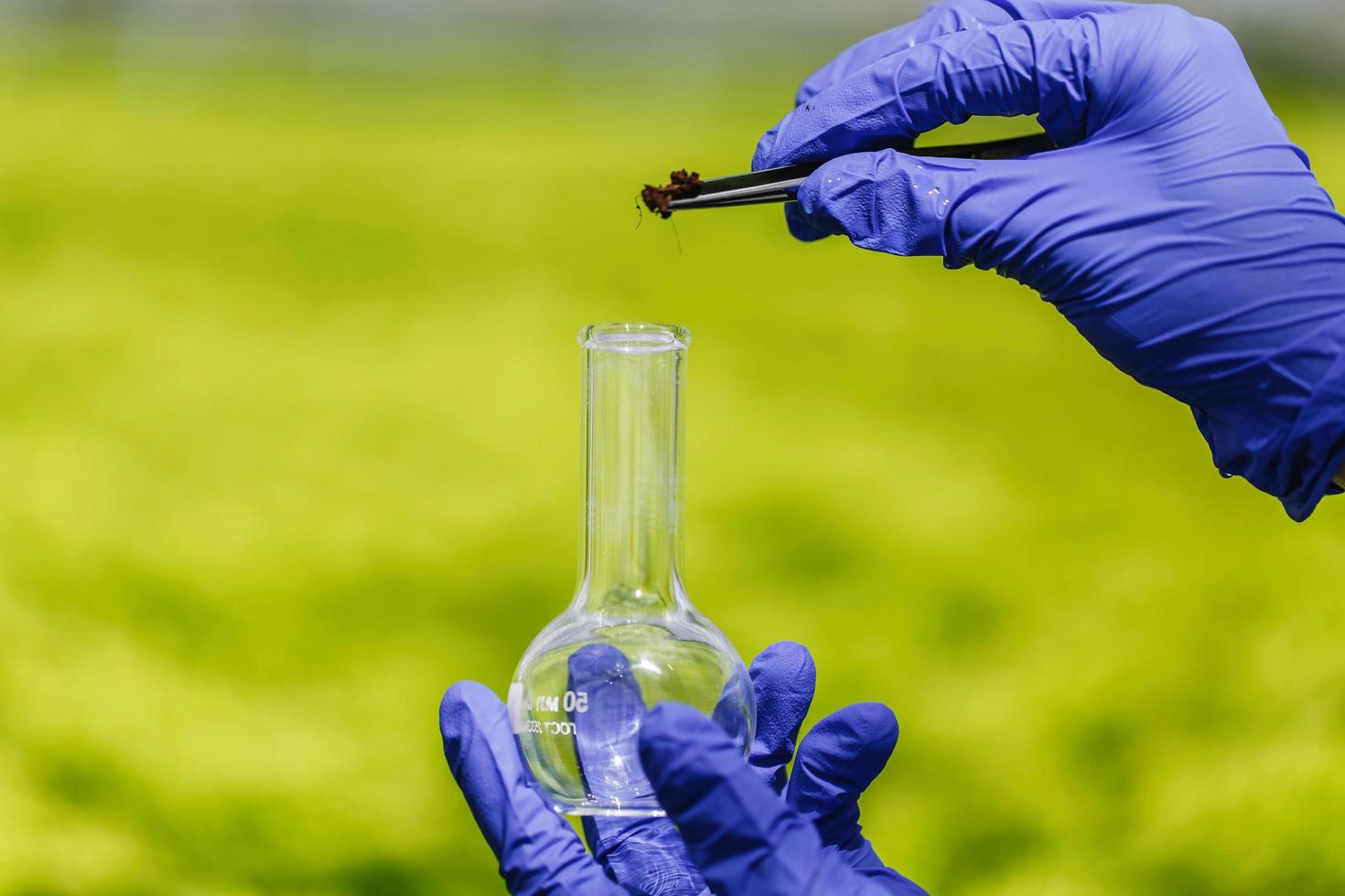 Researcher takes a probe of greenery in a flask photo