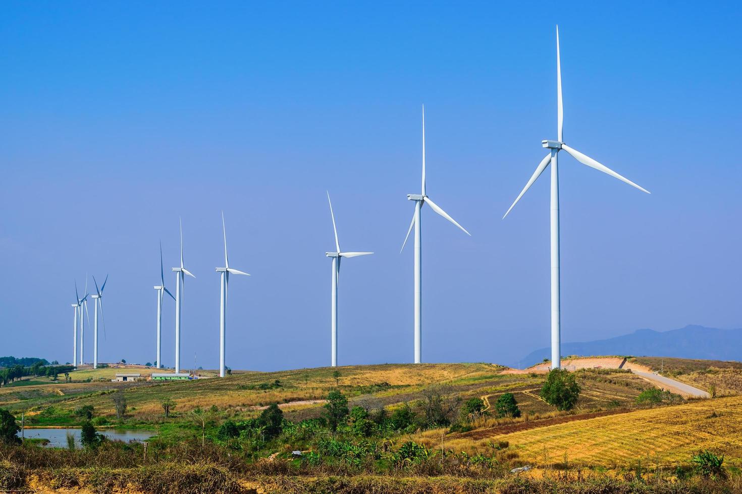 turbinas eólicas alinean un campo foto