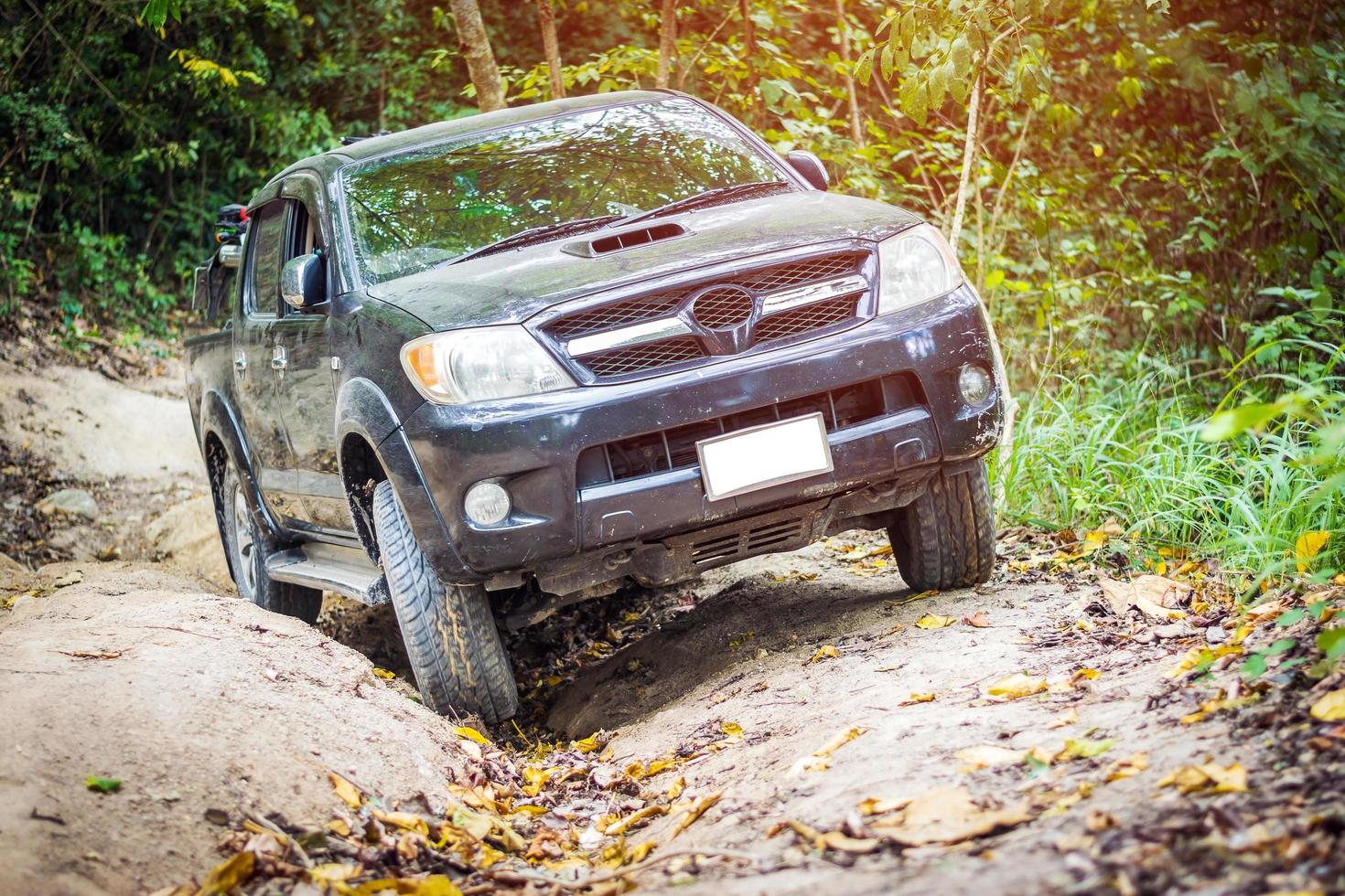 Truck driving in the forest photo