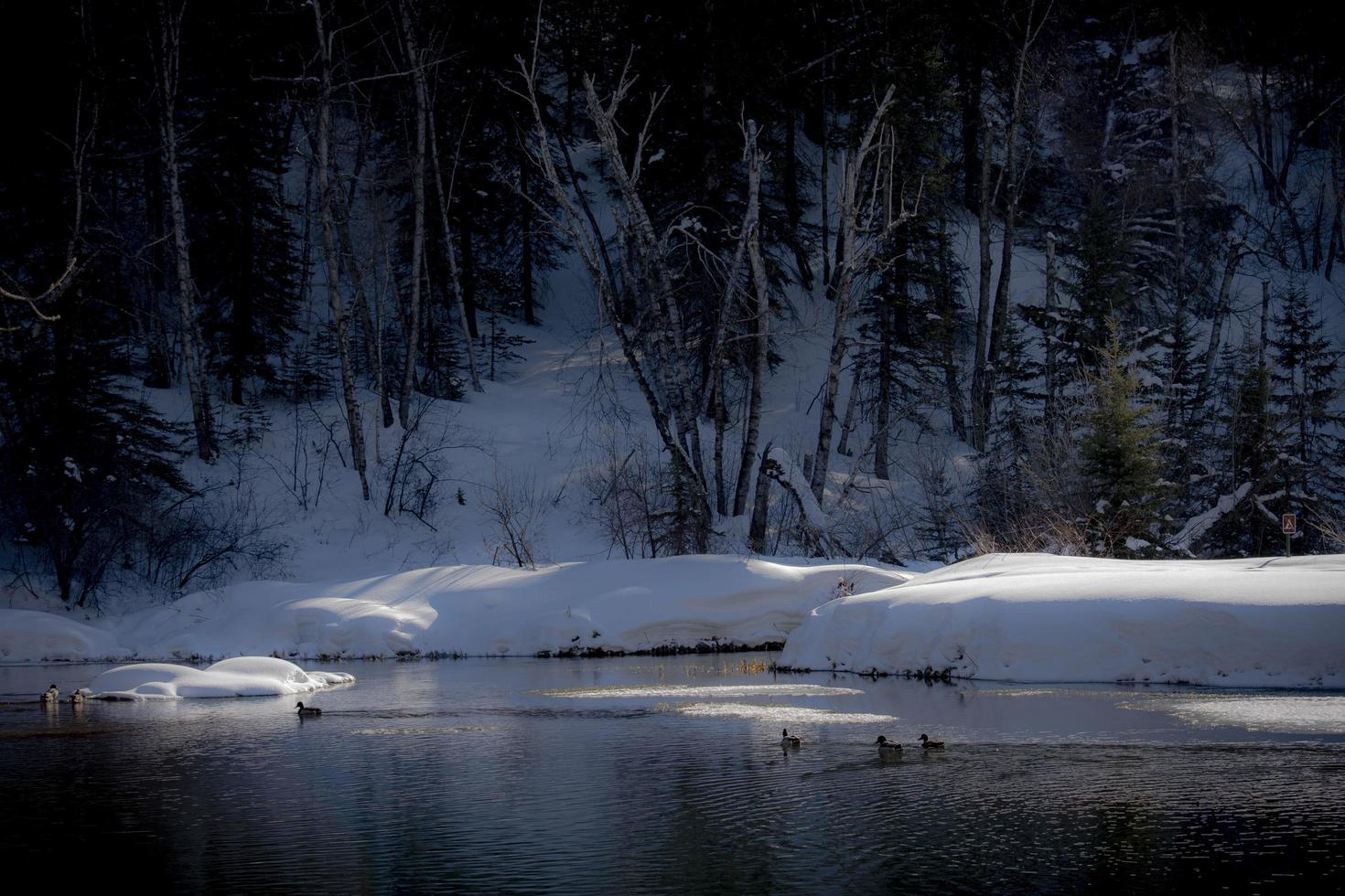 Snow covered lake photo