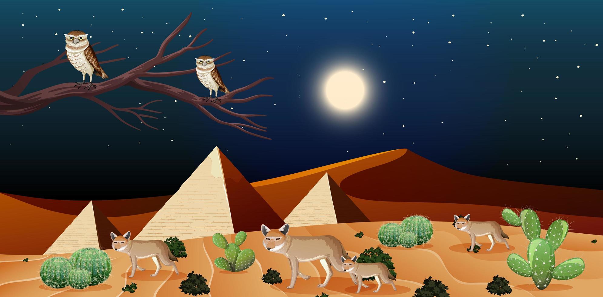 Wild desert landscape at night scene with pyramids vector