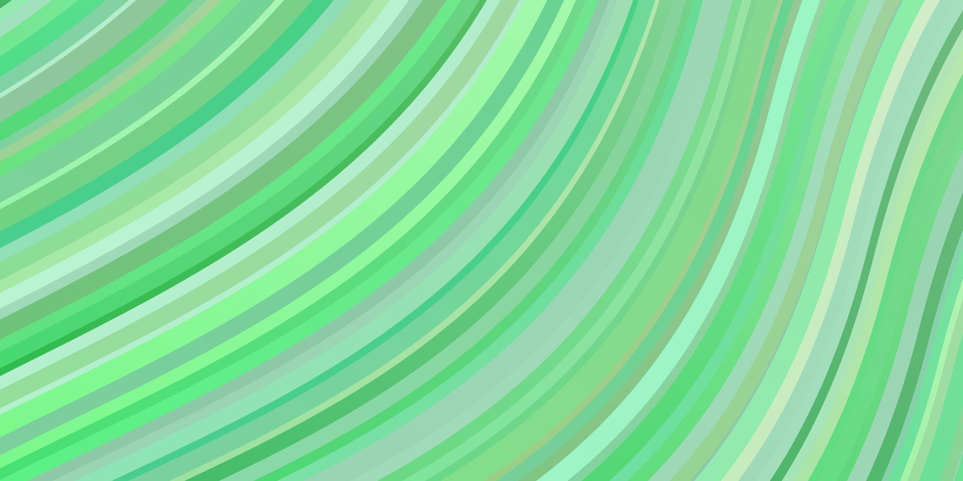 Light green layout with curves. vector