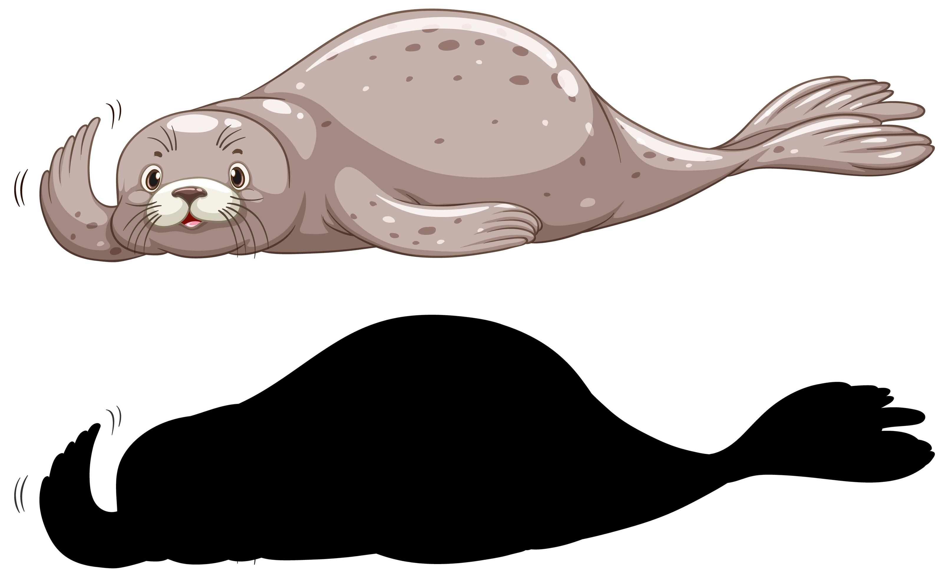 Set of seal characters 1432280 Vector Art at Vecteezy