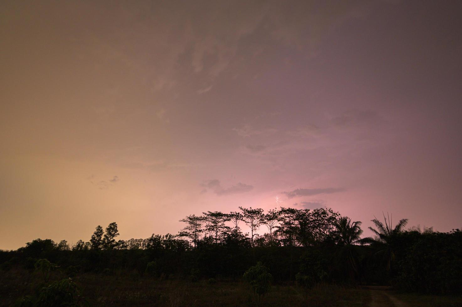 Lightning in the sky at night photo