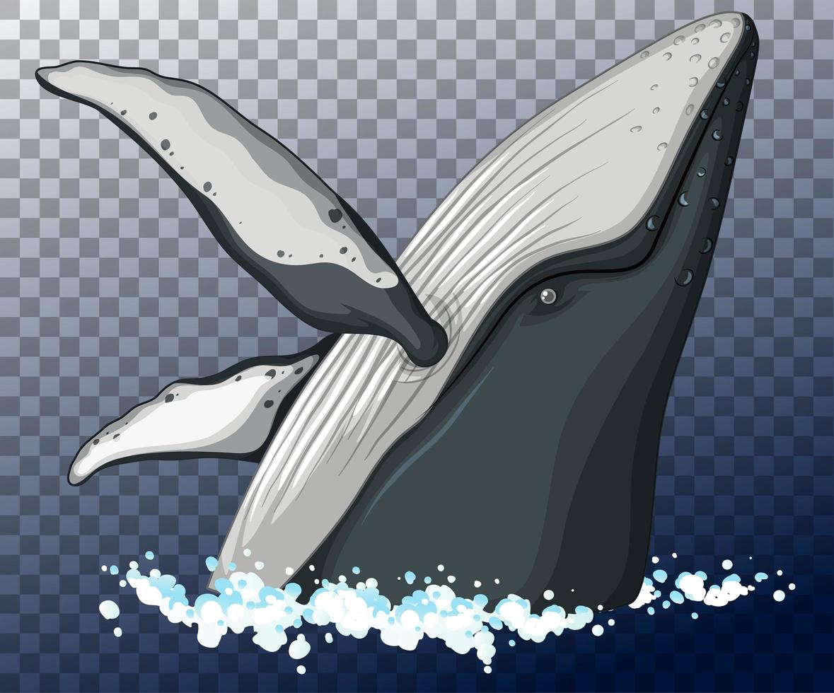 Cabeza de ballena azul en el agua sobre fondo transparente vector