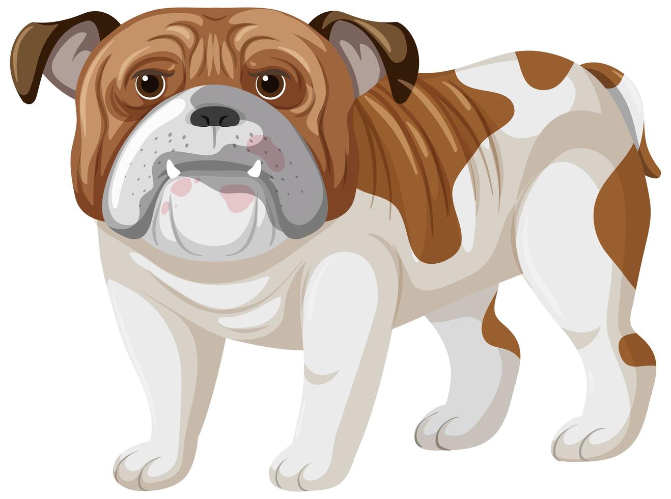 Boxer cartoon style on white background vector