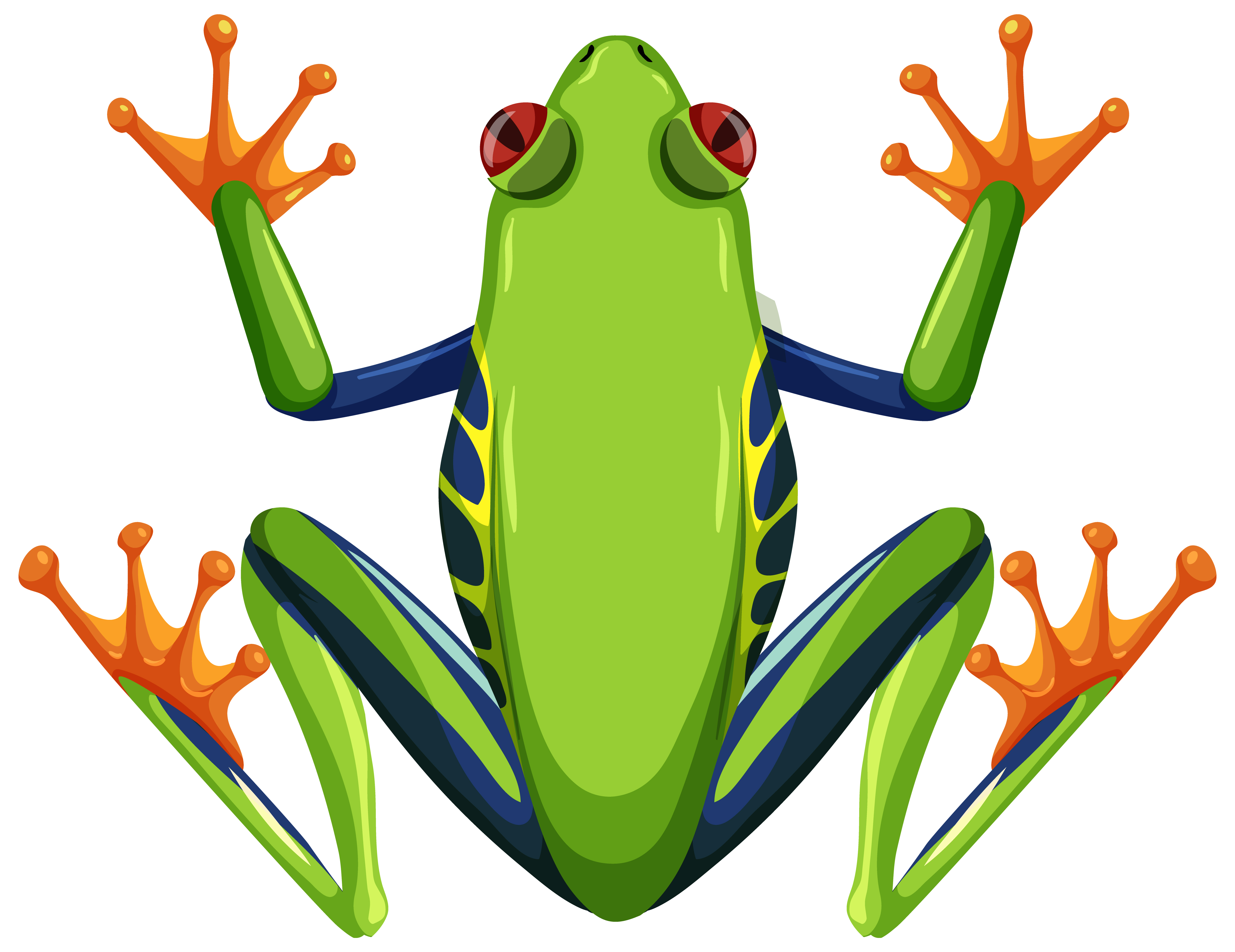 Red eyed tree frog isolated on white background 1432709 Vector Art at Vecteezy Red eyed tree frog isolated on white background 1432709 Vector Art at Vecteezy