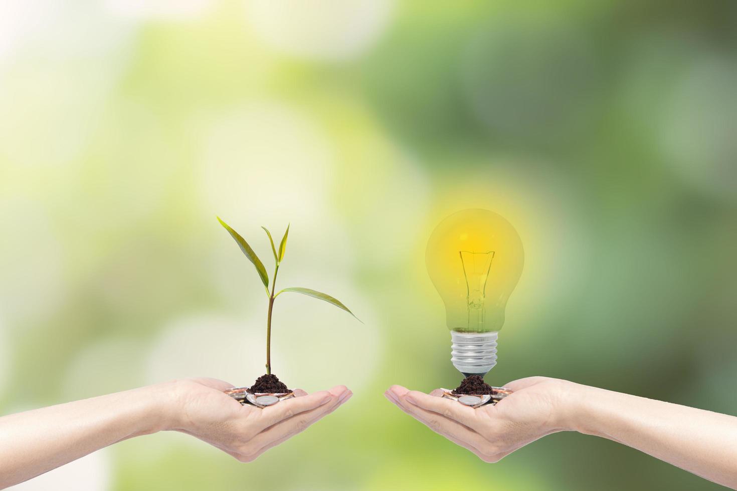 manos sosteniendo bombilla y planta foto