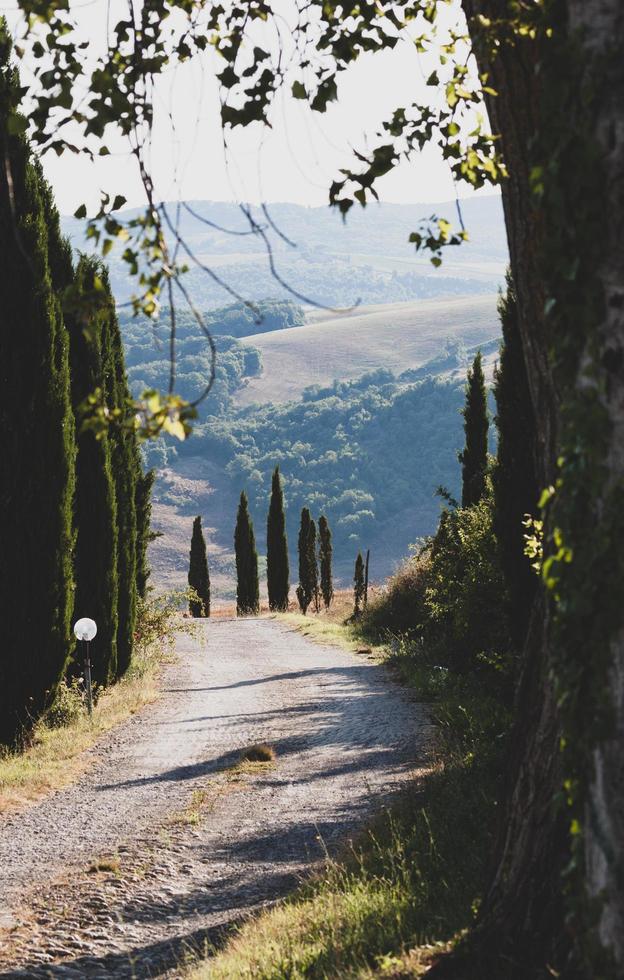 Road through the countryside photo