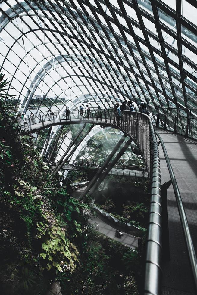 shanghai, china, 2020 - personas explorando un jardín botánico foto