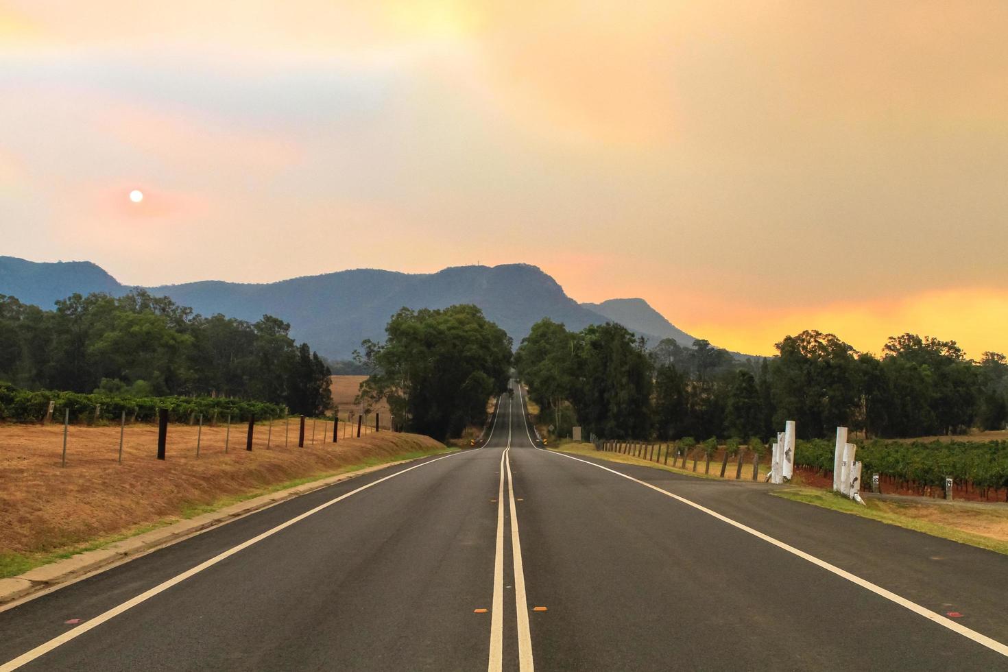 camino vacío entre al atardecer foto