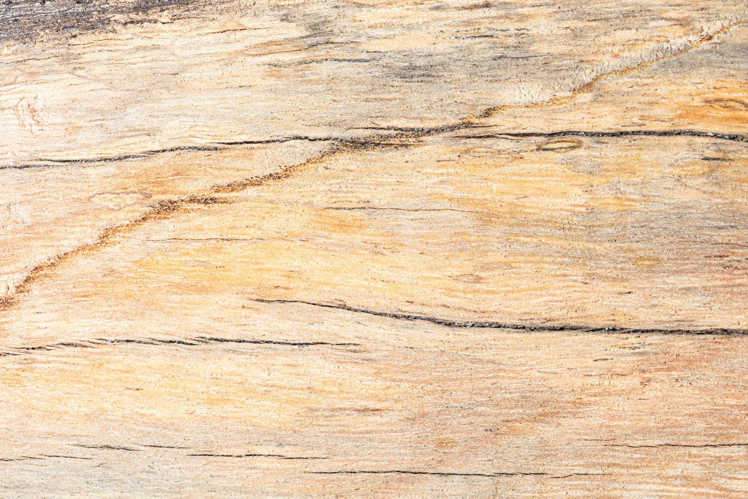 Wood floor pattern photo