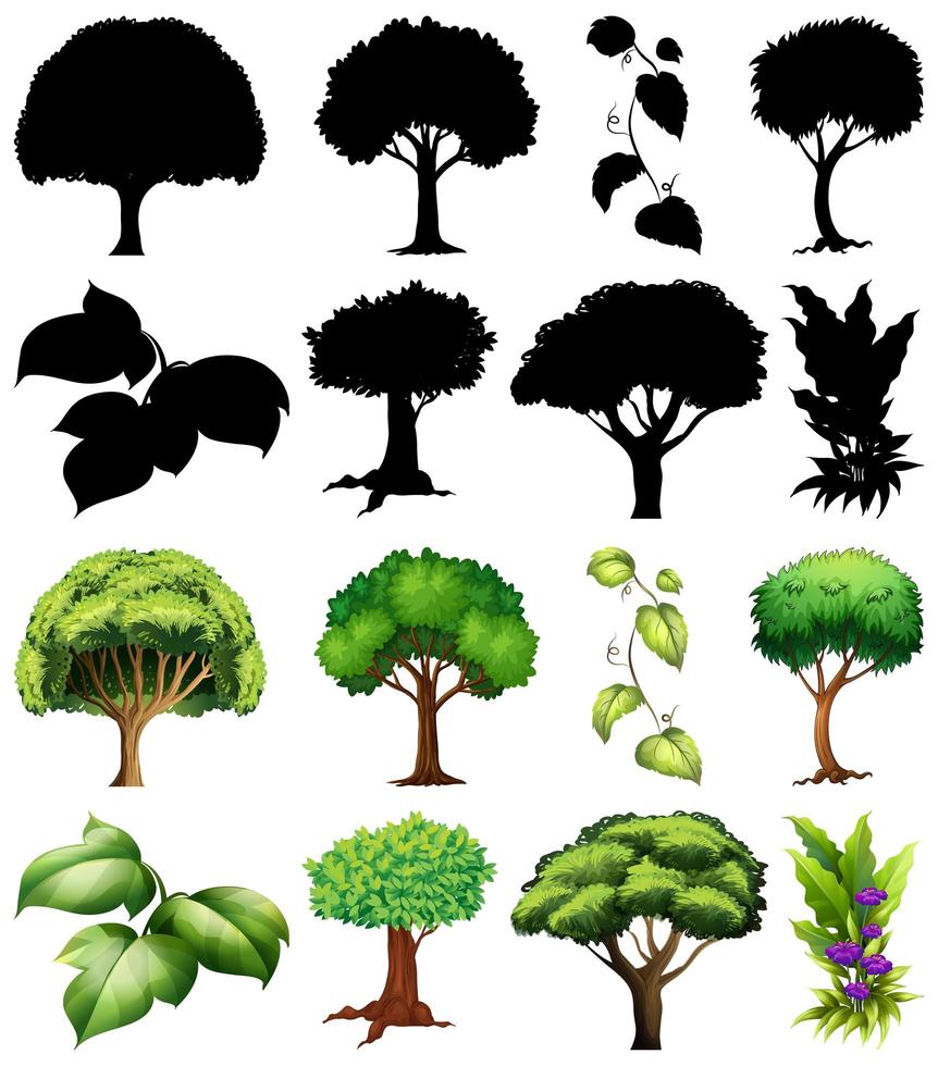 conjunto de plantas y árboles con siluetas vector