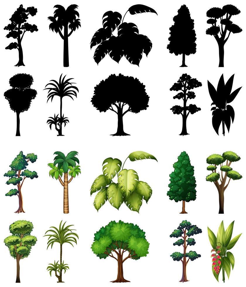 Set of trees with its silhouettes vector