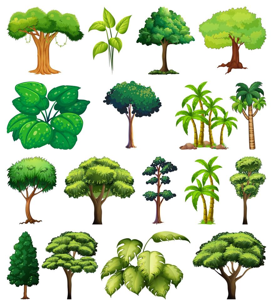 Set of variety of trees vector