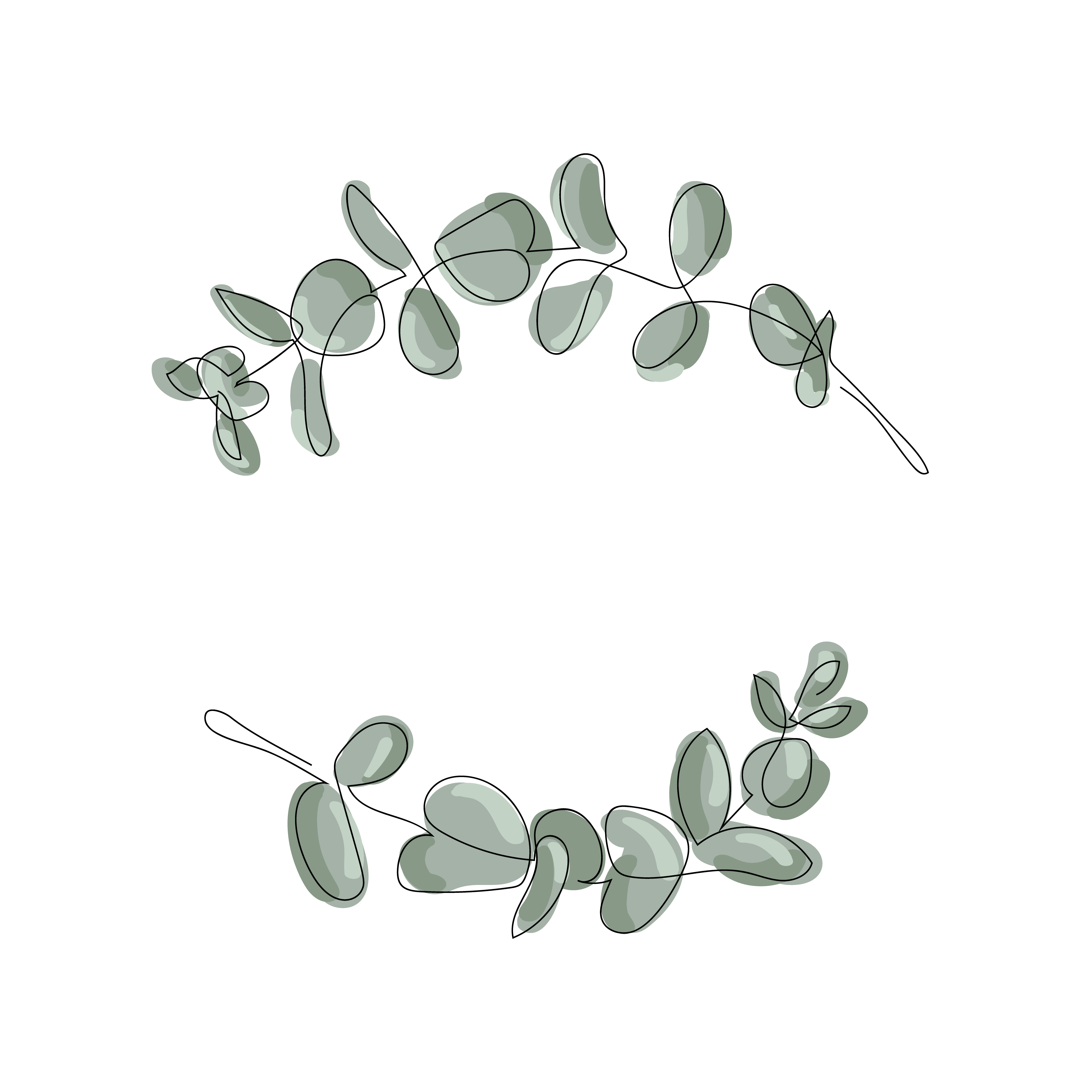Marco de hojas de eucalipto sobre fondo blanco. 1434111 Vector en Vecteezy