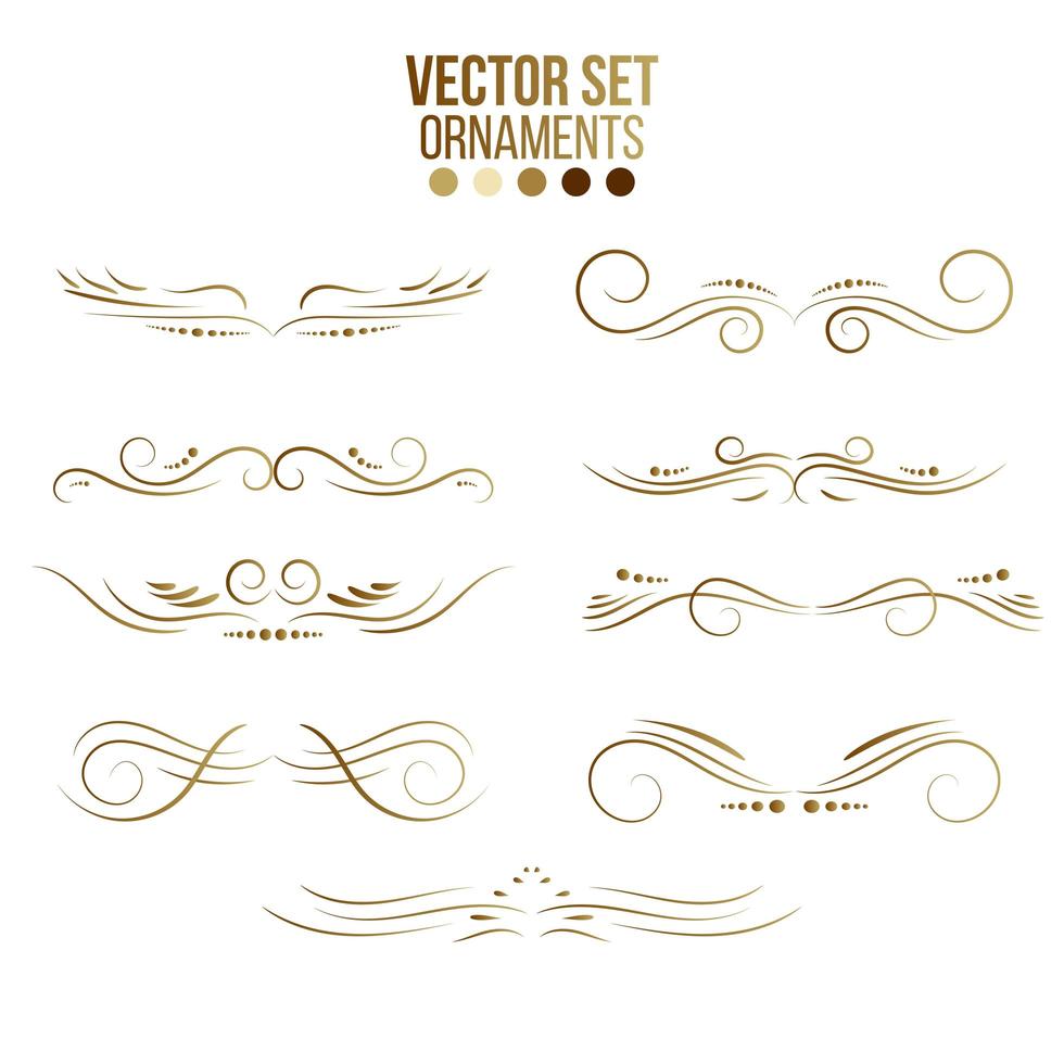 Gold lines and ornaments collection vector
