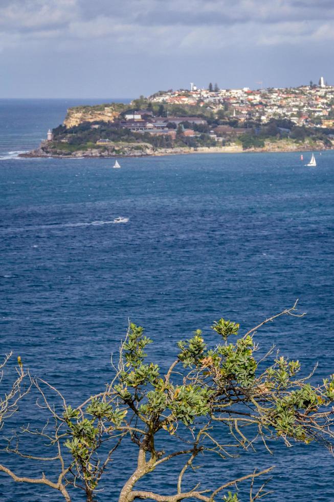 Town near the ocean photo