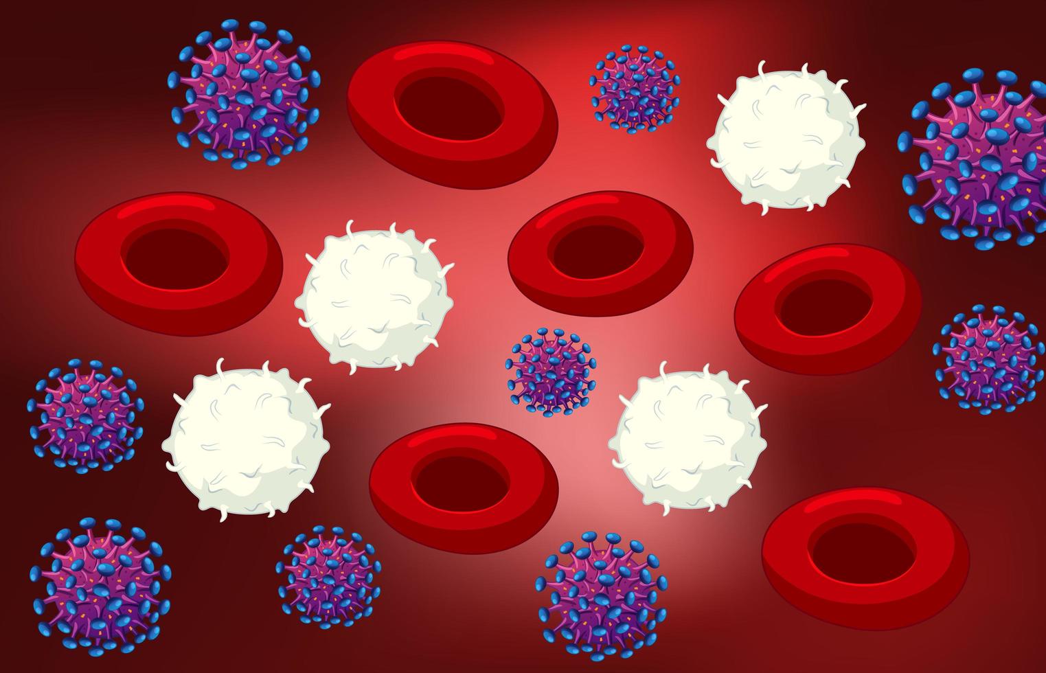 glóbulos rojos y blancos y coronavirus vector