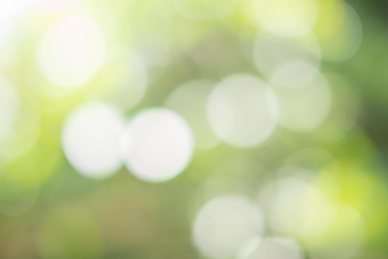 Natural bokeh background photo