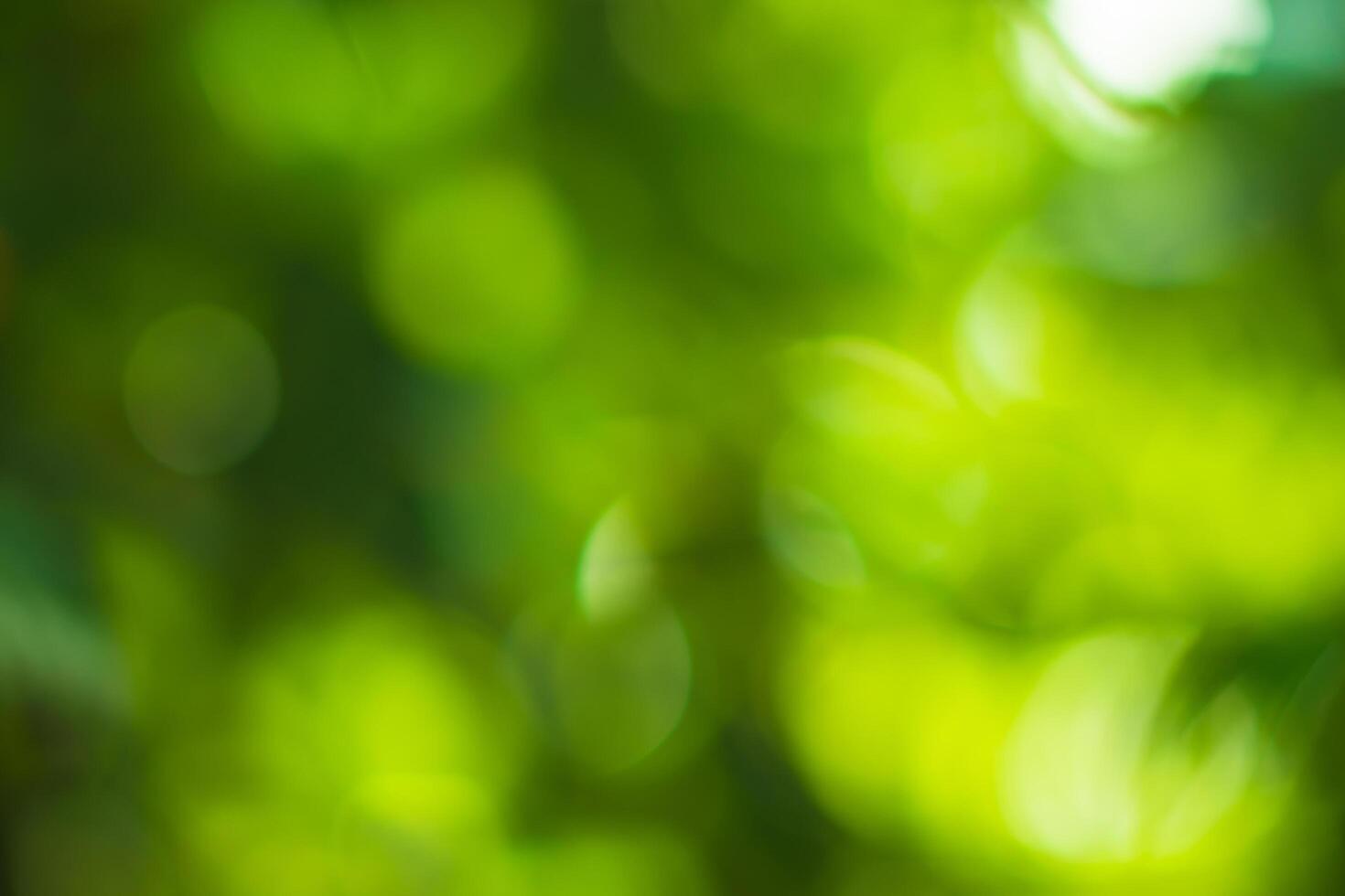 Natural bokeh background photo