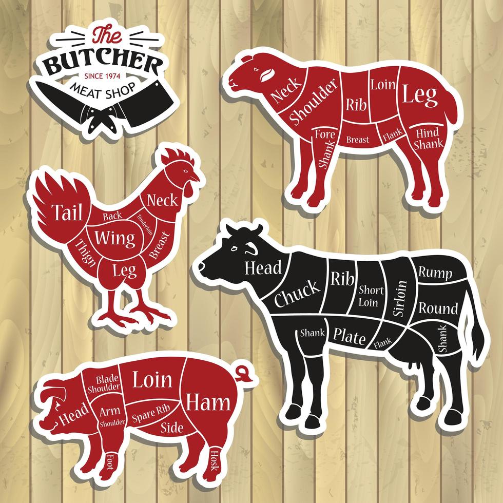 Diagrams for butcher shop vector