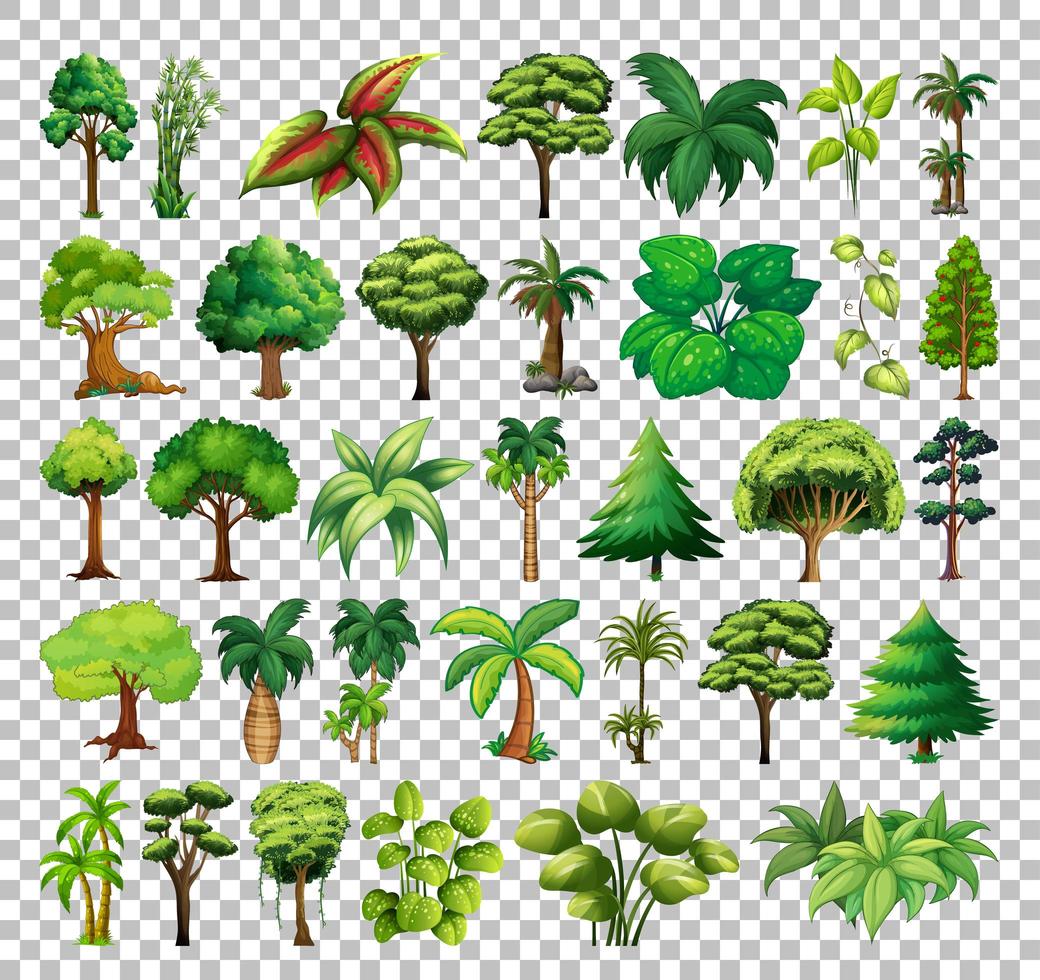 Set of tree on transparent background vector