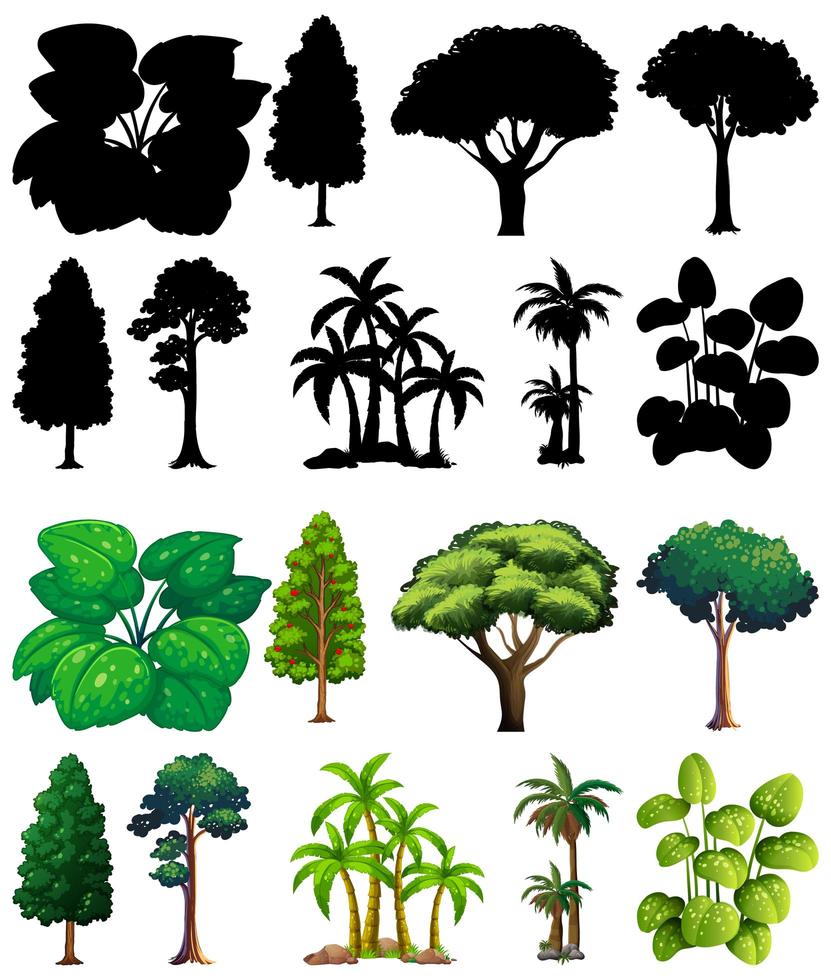 conjunto de planta y árbol con su silueta vector