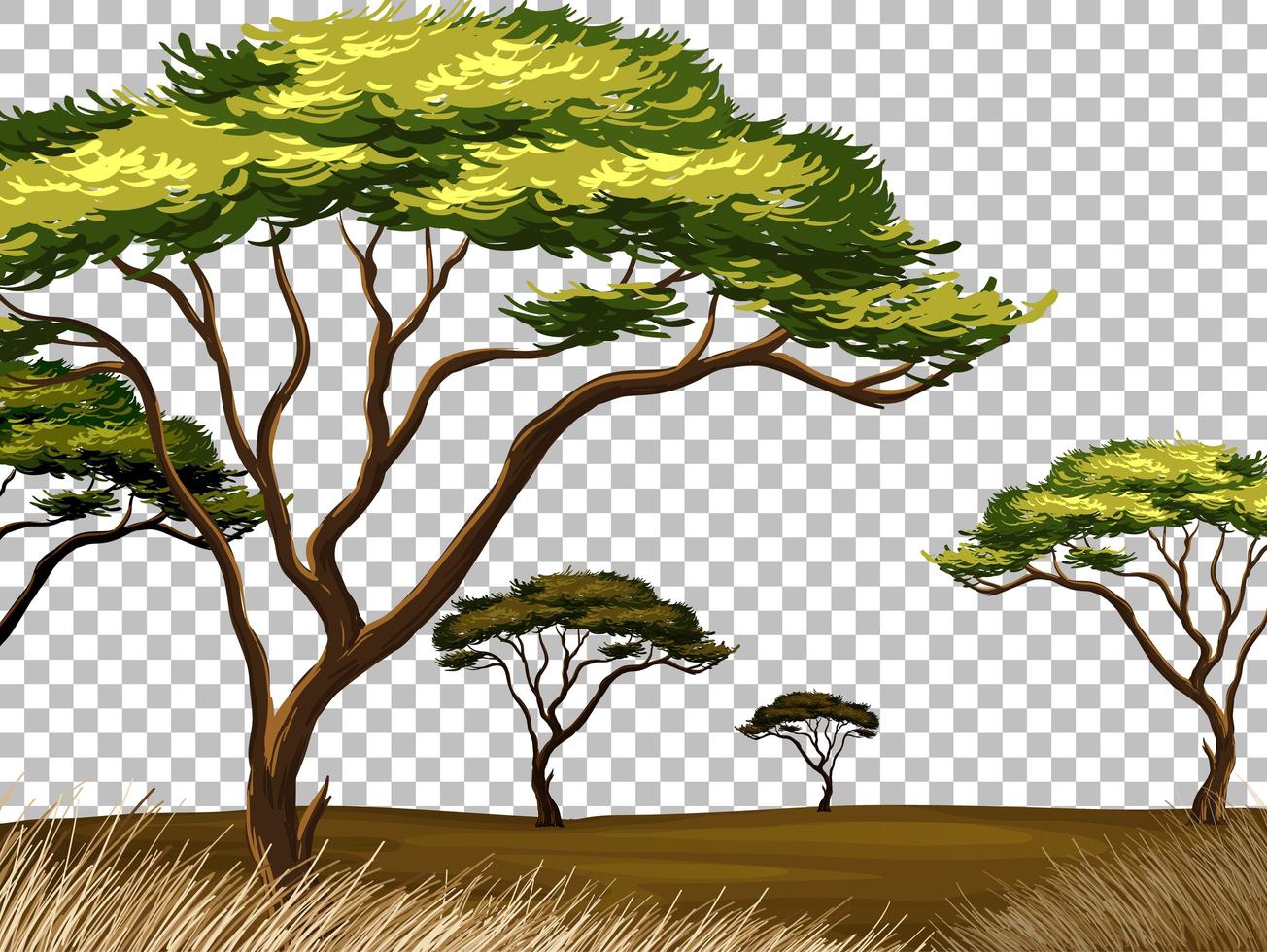 Nature outdoor landscape transparent background vector