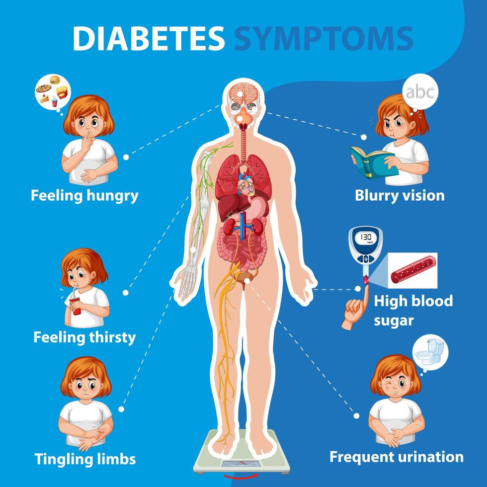 infografía de información de síntomas de diabetes vector