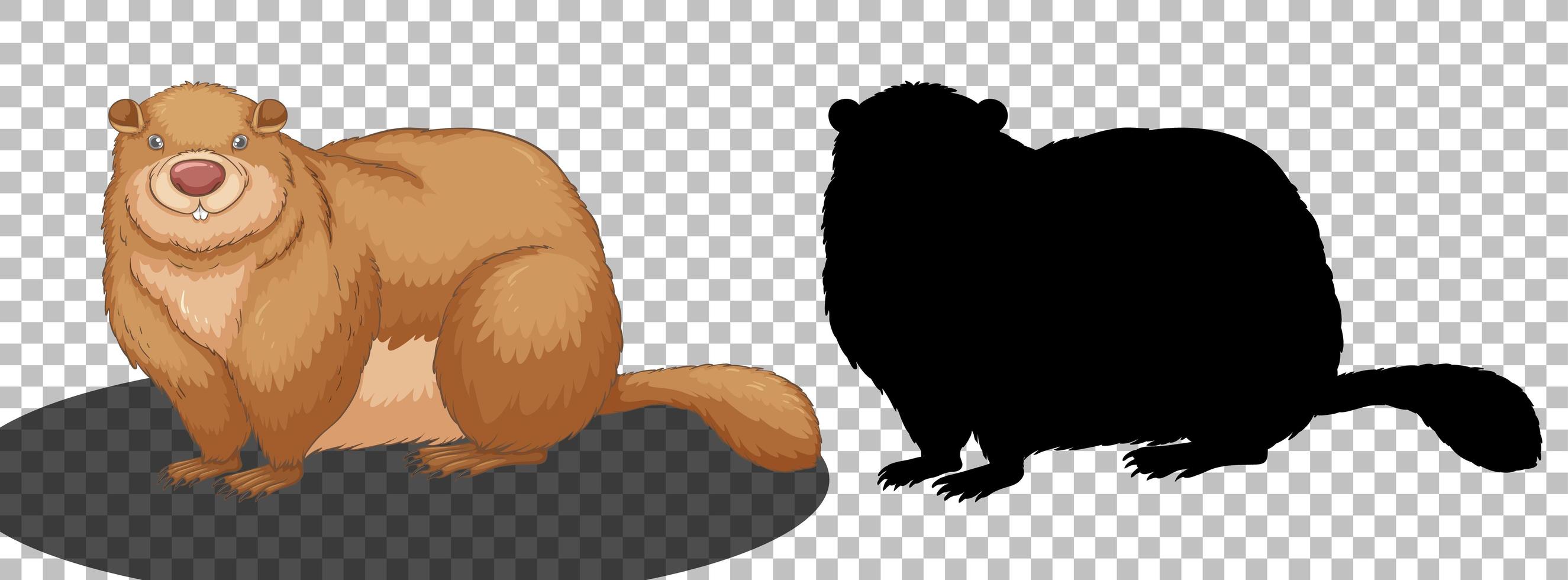Personaje de dibujos animados de marmota con su silueta vector