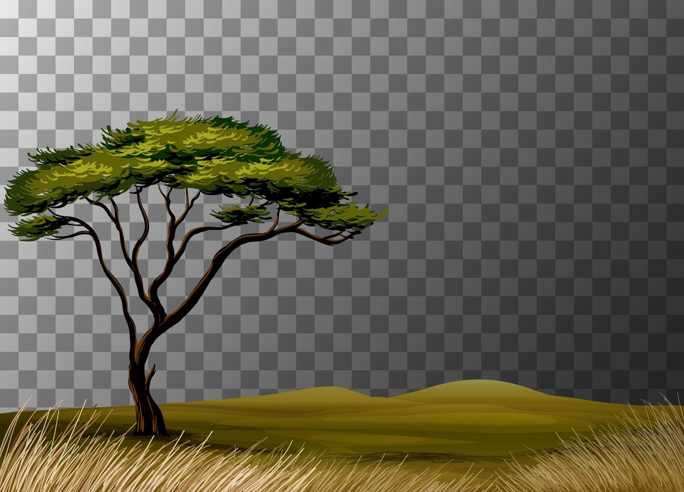 escena del paisaje de la naturaleza vector