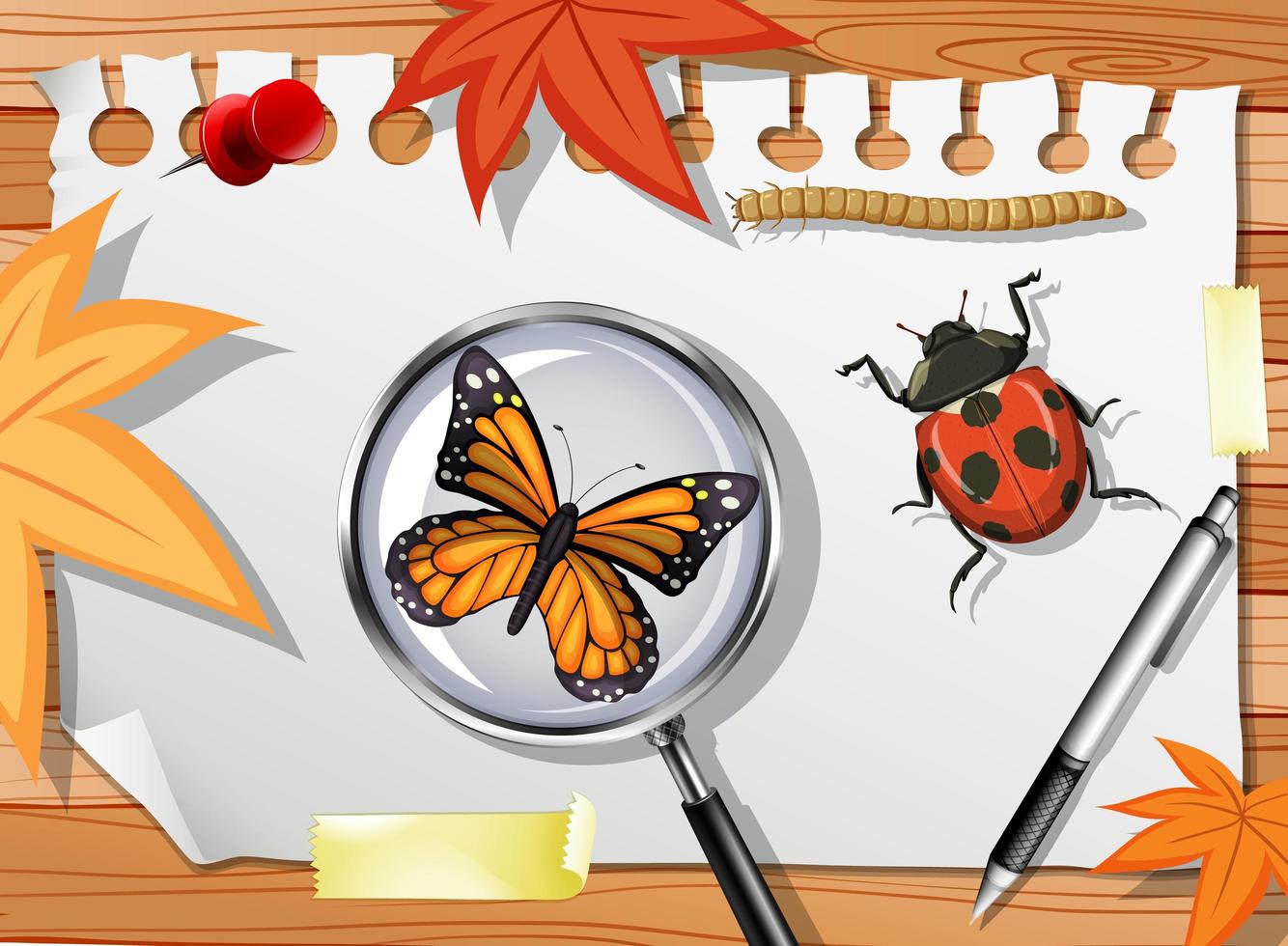 Many different insects on the table close up vector