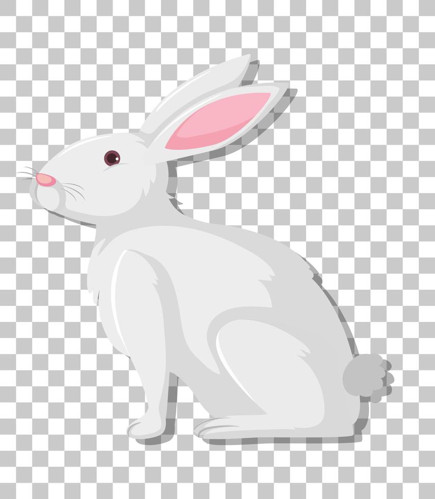 White rabbit cartoon isolated on transparent background 1437179 Vector Art  at Vecteezy