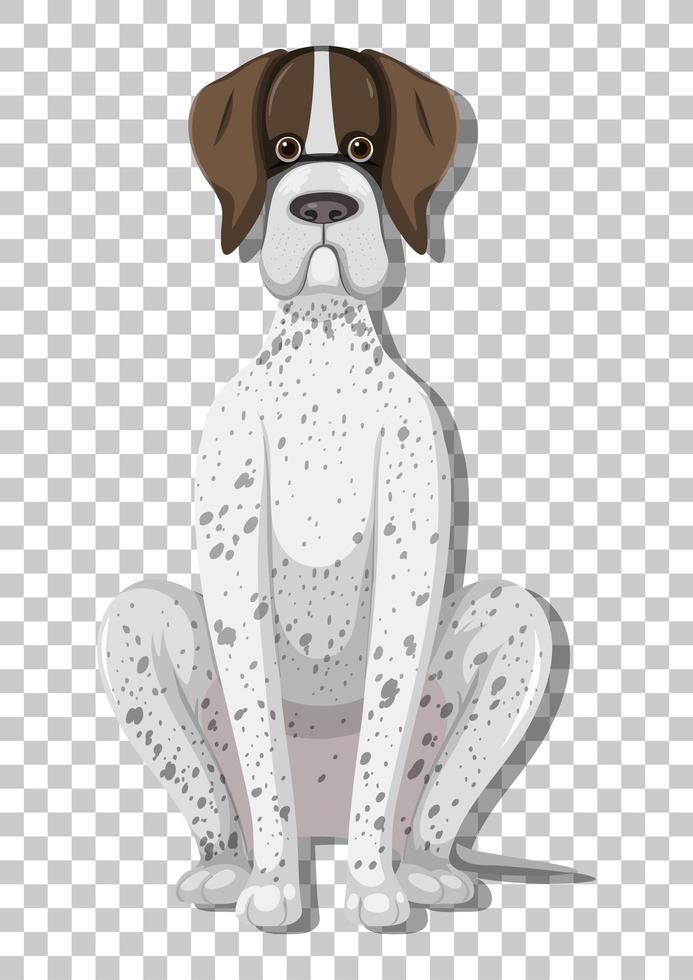 German Shorthaired Pointer in sitting position cartoon character isolated on transparent background vector