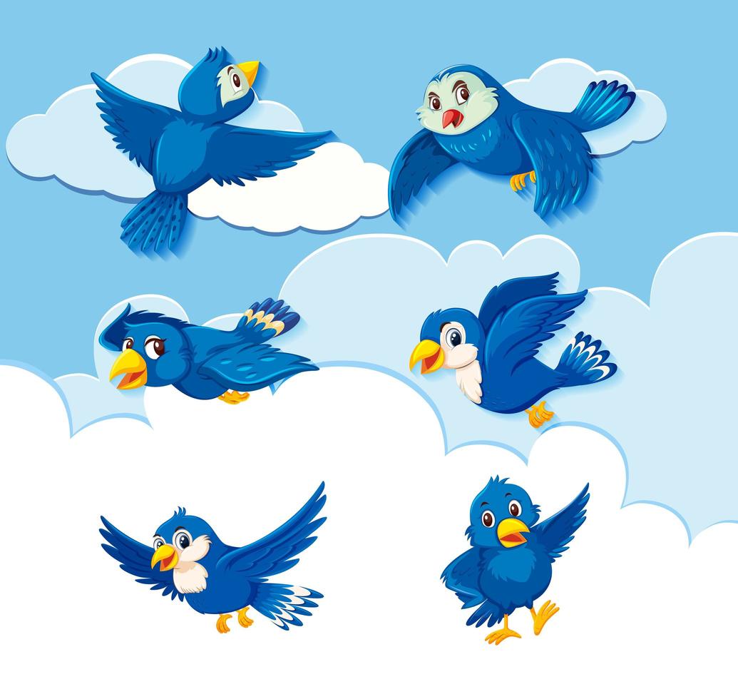 Set of bird character on sky background vector