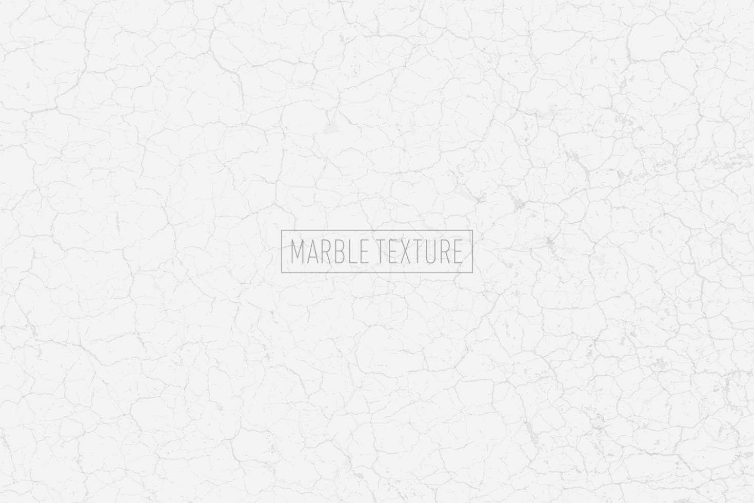 White and gray marble texture vector