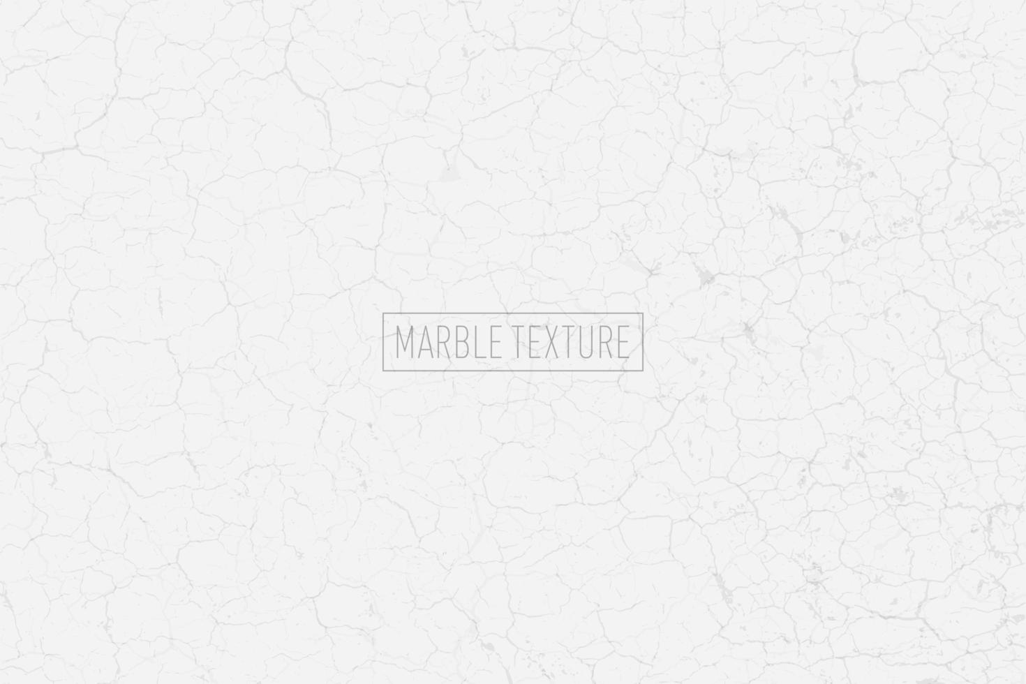 White and gray marble texture vector