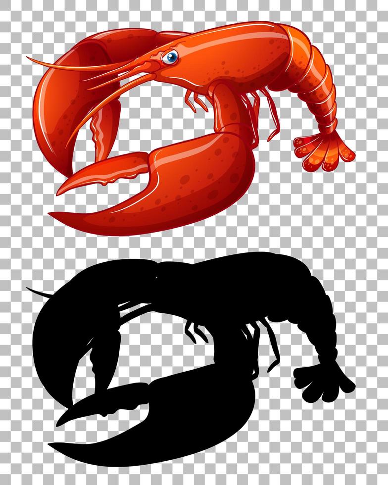 Red lobster and its silhouette on transparent background vector