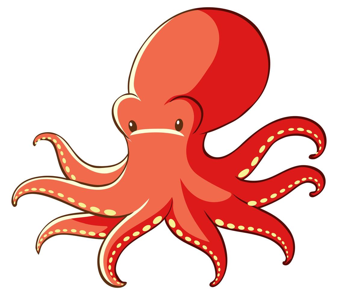 Red octopus on white background vector