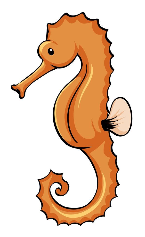 Orange seahorse on white background vector