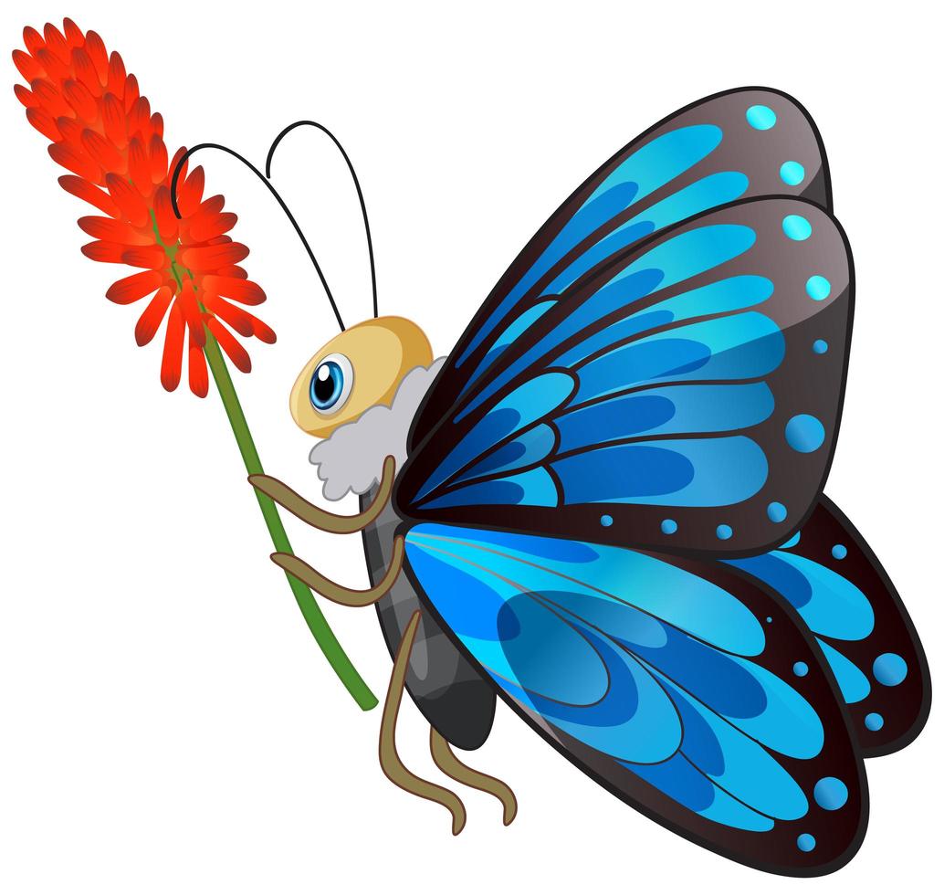 Butterfly holding flower on white background vector