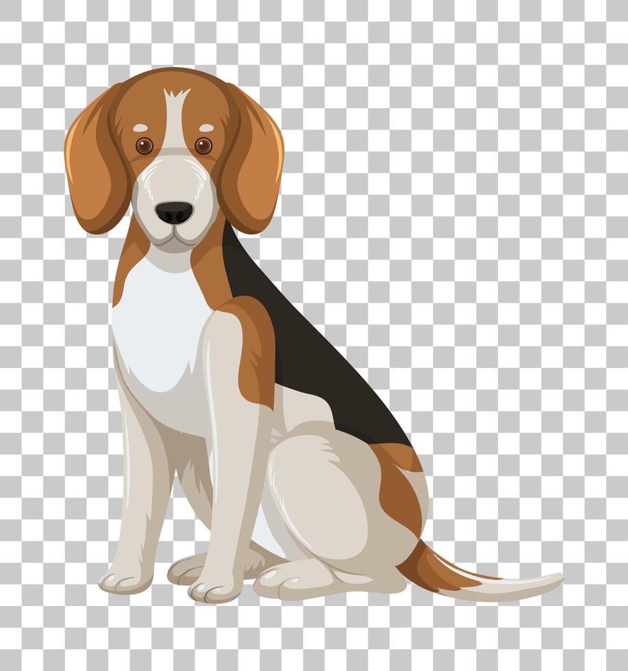 Beagle en posición sentada personaje de dibujos animados aislado sobre fondo transparente vector