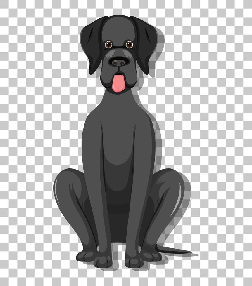 German Shorthaired Pointer in sitting position cartoon character isolated on transparent background vector