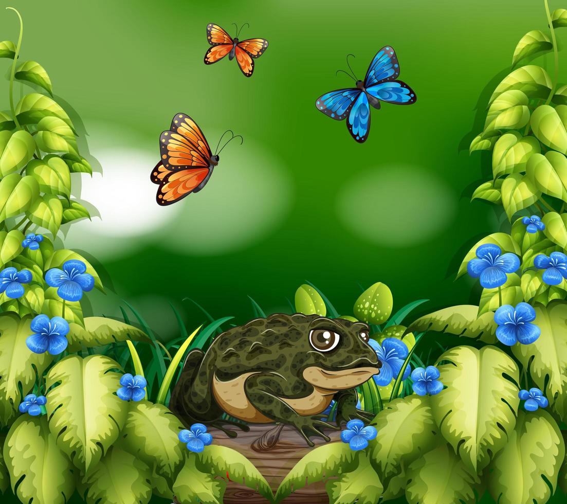 escena de fondo con rana y mariposas vector